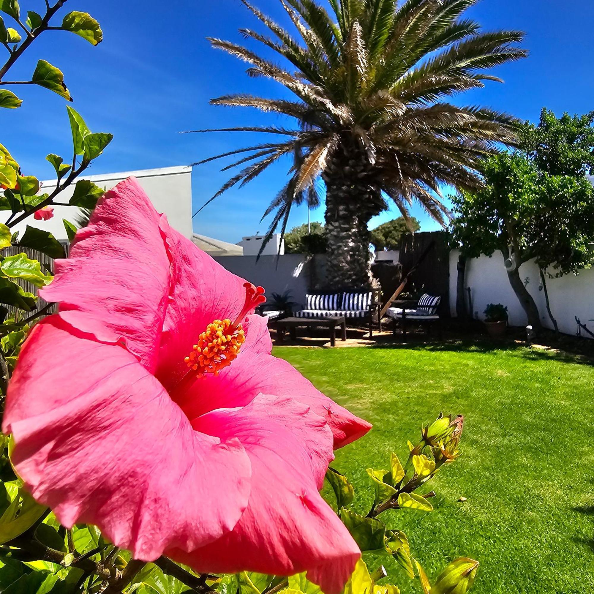 Swept Away Guesthouse - No-Loadshedding Yzerfontein Ngoại thất bức ảnh